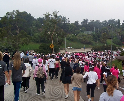 "Walking For A Cure October 19, 2009"{