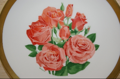 +MBA #8082-  All-American Rose Selections "First Edition" 1977