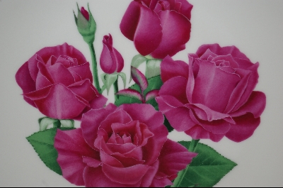 +MBA #8087-  All-American Selections "Intrigue" 1984