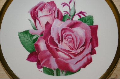 +MBA #8094-  All-American Rose Selections "MonCheri" 1982