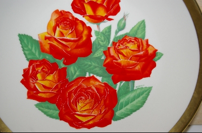 +MBA #8161-  All-American Rose Selections "Charisma" 1978