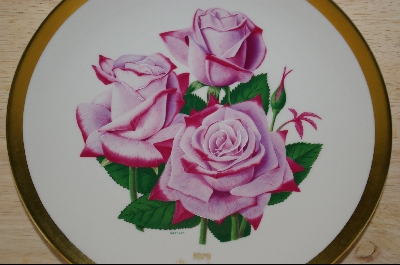 +MBA #8109-  All American Rose Selections "Paradise" 1979