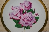 +MBA #8109-  All American Rose Selections "Paradise" 1979