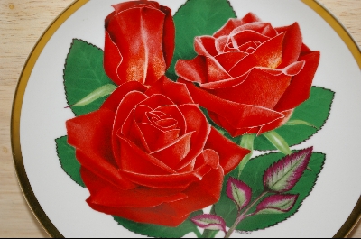 +MBA #8187-  All American Rose Selections "Mikado" 1988