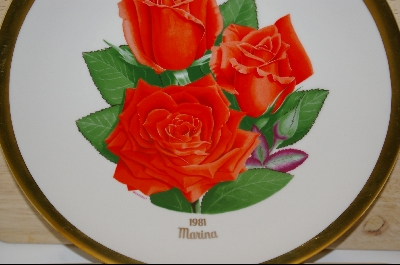 +MBA #8183- All American Rose Selections "Marina" 1981