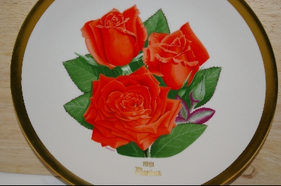 +MBA #8112- All American Rose Selections "Marina" 1981