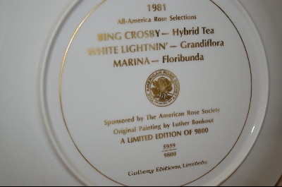 +MBA #8112- All American Rose Selections "Marina" 1981