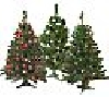 +MBAMG #0031-H80827  "Bethlehem Lights 3' Prelit Tree With 70 Dbl. Petal Reflector Lights"