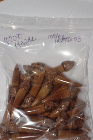 +MBAAC #02-03  "Set Of 40 Capped Valley Oak Acorn Beads"