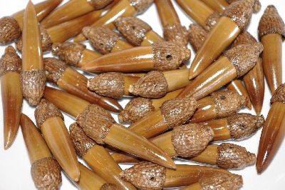 +MBAAC #02-03  "Set Of 40 Capped Valley Oak Acorn Beads"