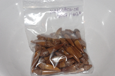 +MBAAC #02-05  "Set Of 40 Capped Valley Oak Acorn Beads"