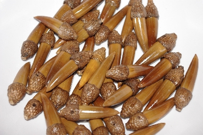 +MBAAC #02-05  "Set Of 40 Capped Valley Oak Acorn Beads"