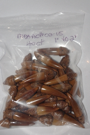 +MBAAC #02-15  "Set Of 40 Capped Valley Oak Acron Beads"