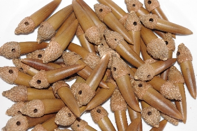 +MBAAC #03-02 "Set Of 55 Capped & Drilled Acorn Beads" 