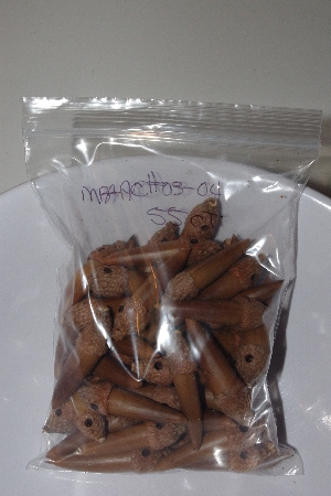 +MBAAC #03-04   "Set Of 55 Capped & Drilled Acorn Beads