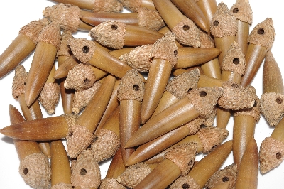 +MBAAC #03-05  "Set Of 55 Capped & Drilled Acorn Beads"