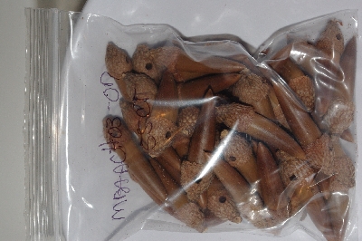 +MBAAC #03-07  "Set Of 55 Capped & Drilled Acorn Beads"