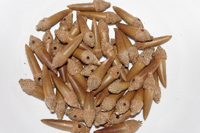 +MBAAC #03-08  "Set Of 55 Capped & Drilled Acorn Beads"