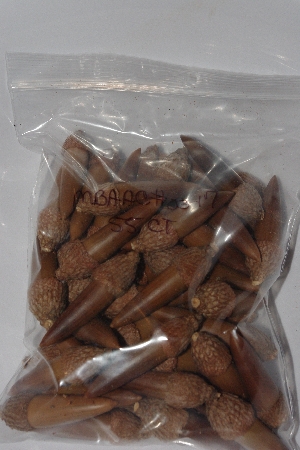 +MBAAC #03-17  "Set Of 55 Capped Acorns"