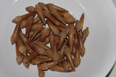 +MBAAC #03-22  "Set Of 55 Capped Acorns"