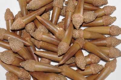 +MBAAC #03-24  "Set Of 55 Capped Acorns"