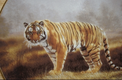 +MBA #CF  "1991 Royal Bengal" Charles Frace