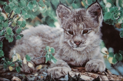 +MBA #4-163   "1989 "Hideway" Artist Charles Frace
