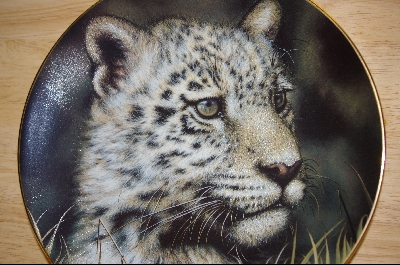 +MBA #4-176  "1992 "Jaguar Cub" Artist Q. Lemonds