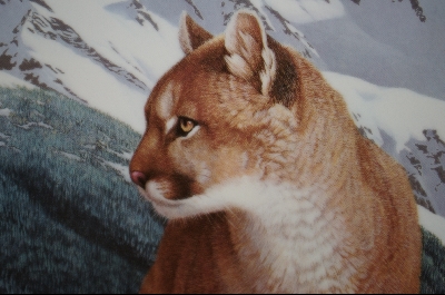 +MBA #4-141  "1992 "Mountain Magic" Artist Thomas Hirata