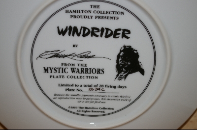 +MBA #5-099  "1992 "Windrider" By Artist Chuck Ren