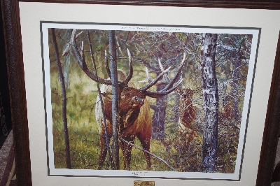 +MBAP #0031-0060  "2004 Cabella's Conservation Edition Print"