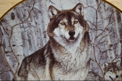 +MBA #6-050  "1994 " A Second Glance" By Artist Al Agnew