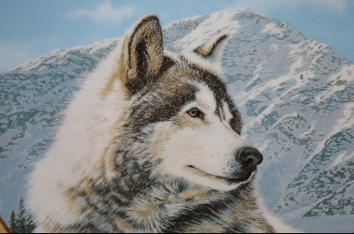 +MBA #6-046  "1992 "Solitary Watch" By Artist Thomas Hirata