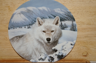 +MBA #6-089   "1992 "Timber Ghost" By Artist Thomas Hirata