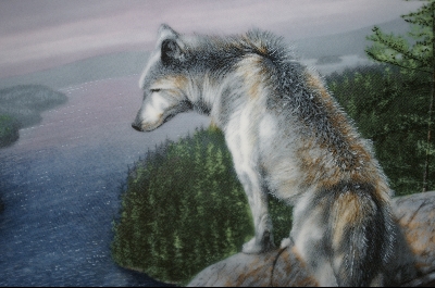 +MBA #6-086   "1992 "The Silent One" By Artist Kevin Daniel