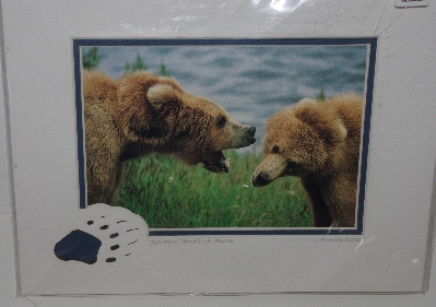 +MBA #1313-134   "Howie Garber Yes, Mom Bear & Cub Alaska Matted Print"