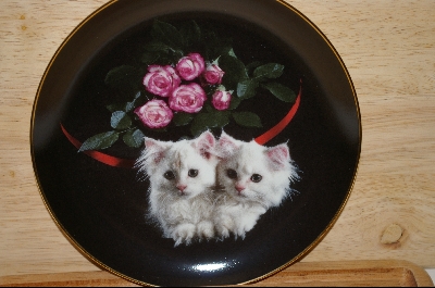 +MBA #7-156   "1993 Peekaboo by Artist Robert Stacks