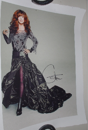 +MBA #1515- 0341  "Cher Limited Edition Silver Gothic Giclee"