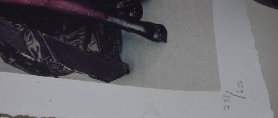 +MBA #1515- 0341  "Cher Limited Edition Silver Gothic Giclee"