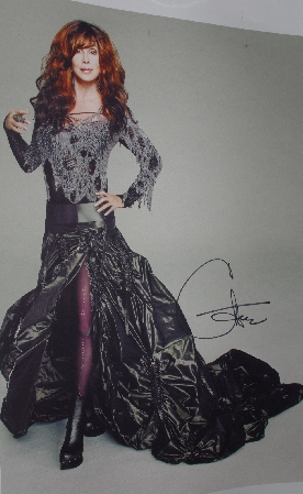 +MBA #1515- 0341  "Cher Limited Edition Silver Gothic Giclee"