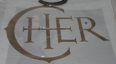 +MBA #1515- 0341  "Cher Limited Edition Silver Gothic Giclee"