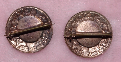 +MBA #1616-0078 "Set Of 2 Vintage Copper Cloisonne Pins"