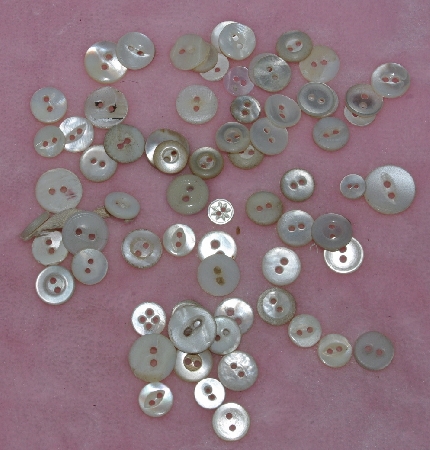 MBA #1616-0084  "Vintage Lot Of 70 Small White Shell Buttons"
