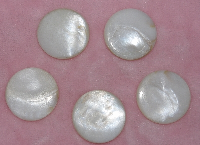 MBA #1616-0067  "Vintage Large Lot Of 5 White Shell Buttons"