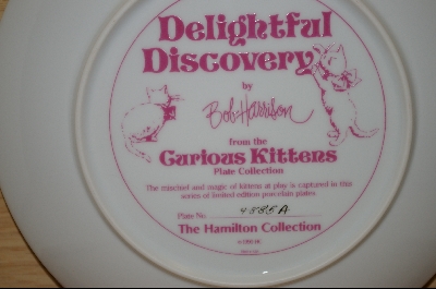 +MBA #7-124 "1990 "Delightful Discovery" By Artist Bob Harrison