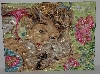 MBA 2020-0078  "Royal Paris Hand Beaded Tapestry"