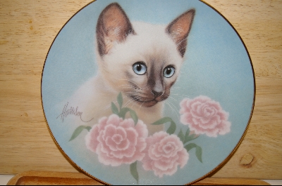 +MBA #7-029   "1988 "Siamese Summer" By Artist Bob Harrison