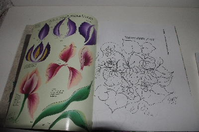 +MBA #3434-0191    "1999 Donna Dewberry How To Paint Glorious Garden Set"