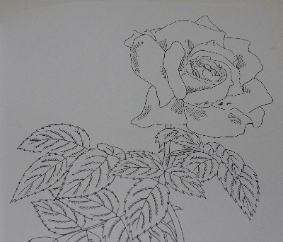 +MBA #3535-375   "1988 Favorite Roses Coloring Book By Ilil Arbel"