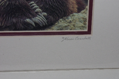 +MBA #3535-0135   "2001 Double Matted With Fancy Bear Foot "Bear Stare" Alissa Crandall Bear Photo"